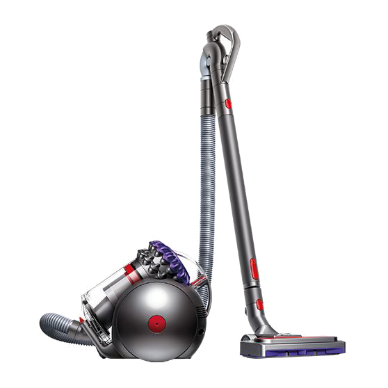 Dyson Big Ball Parquet 2